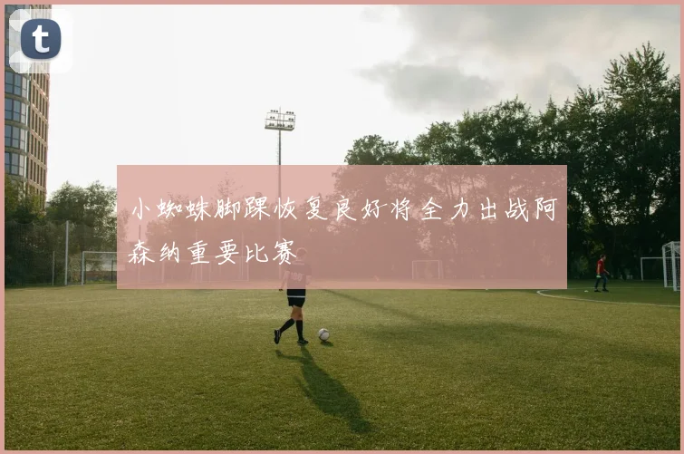 小蜘蛛脚踝恢复良好将全力出战阿森纳重要比赛